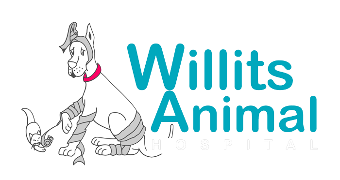 Willits Animal Hospital